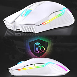 Acheter Onikuma CW905 Blanc Souris Gaming LED RGB