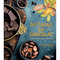 Du cacao au chocolat : l'épopée d'une gourmandise - Occasion