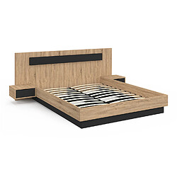 Acheter Idmarket Lit double SANTA 160 x 200 cm