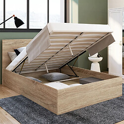 Idmarket Lit coffre double avec sommier