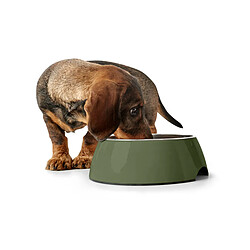 Acheter Hunter Gamelle pour chien - 700 ml