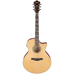 Avis Ibanez AE170 Natural Gloss Top