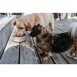 Avis Hunter Gamelle pour chien en céramique OSBY - 550 ml - Beige