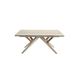 Angel Cerda Table de salle à manger rectangulaire à rallonge en marbre porcelaine, acier sable métallique et noyer