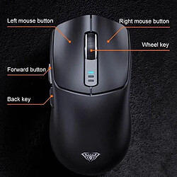 Souris