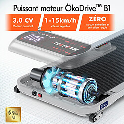 BLACK LORD Tapis de Course Électrique Incliné Amortisseurs Pliable Argent pas cher