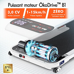 BLACK LORD Tapis de Course Électrique Incliné Amortisseurs Pliable Blanc pas cher