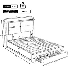 Acheter WISHDOR Lit coffre 160 x 200 - Lit rembourré - Gris