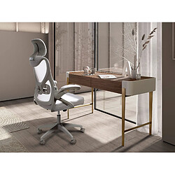 Avis Angel Cerda Bureau en noyer, beige et acier poli doré