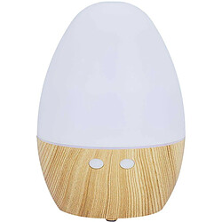 Brûle-parfums & diffuseur The Home Deco Factory