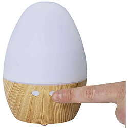 The Home Deco Factory Diffuseur d'ambiance avec LED.