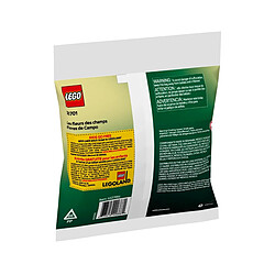 Avis Lego Botanical Collection fleurs des champs