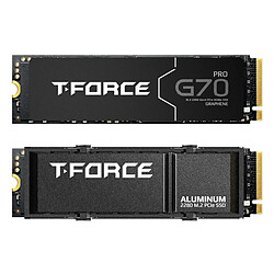 Disque dur Team Group G70 1 TB SSD