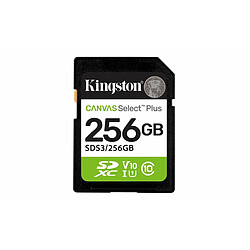 Acheter Carte Mémoire Micro SD avec Adaptateur Kingston SDS3/256GB 256 GB