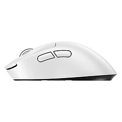 Souris