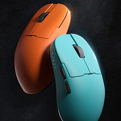 Souris