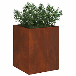 Avis vidaXL Cache-pot de jardin Acier patiné 32 x 32 x 40 cm Acier patiné