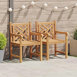 vidaXL Chaises de jardin 2 pcs Marron 58 x 60 x 90 cm