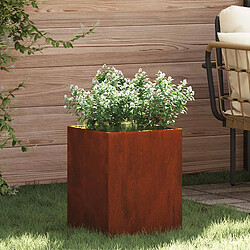 vidaXL Cache-pot de jardin Acier patiné 32 x 32 x 40 cm Acier patiné