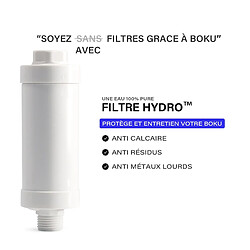 Avis Filtre pour Abattant WC Japonais BOKU