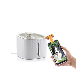 Gamelle pour chien innovagoods