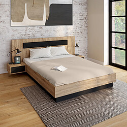Acheter Idmarket LIT COFFRE SANTA 140X190 CM