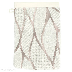 Lot De 4 Gants De Toilette Coton 590 G/m² - Série Rome - Bordure Brodée, Crochet - Couleur Noix De Coco
