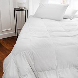 Linnea Couette tempérée Plumdor coton