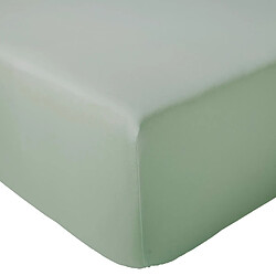 Linnea drap-housse percale coton