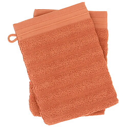 Linnea lot de gants de toilette double face - x2