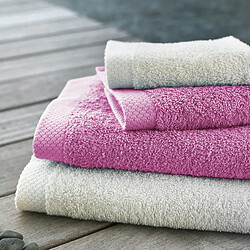 Serviette