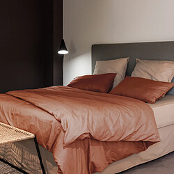 Linnea parure de lit coton lavé Palace - Terracotta