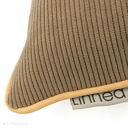 Coussin d'intérieur