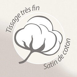 Linnea Taie d’oreiller satin de coton Concerto - Beige pas cher