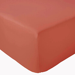 Linnea drap-housse percale coton