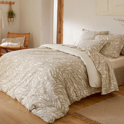Drap plat