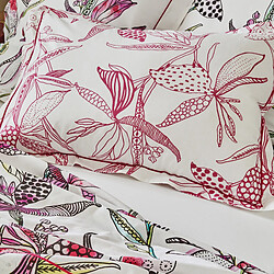 Linnea taie de traversin Penelope en coton - Rose pas cher