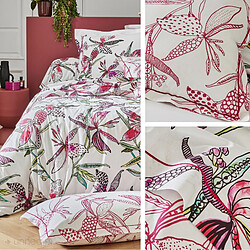 Acheter Linnea taie de traversin Penelope en coton - Rose