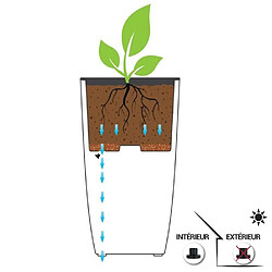 Acheter EDA Plastiques Pot EDA