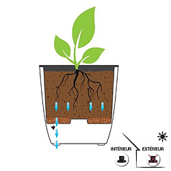 Avis EDA Plastiques Pot EDA