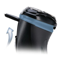 Avis Remington R1000