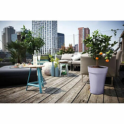 Acheter Elho Loft Urban Rond - Ø33,5 cm - Plastique