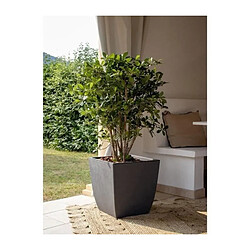 EDA Plastiques Bac a fleurs - DIVA BASALT - Gris anthracite - Carré - 42 L - 43,5 x 43,5 x H.44,2 cm - EDA - Bac intérieur amovible