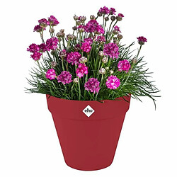Avis Elho Loft Urban Rond - Ø48,5 cm - Plastique