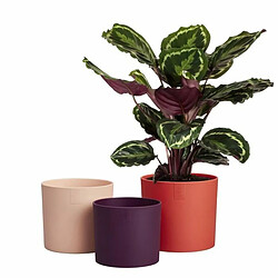 Elho Lex Pott - Ø14 cm - pas cher