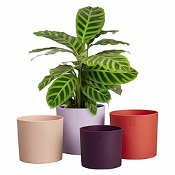 Elho Lex Pott Set 15 - 14,8 cm - Couleur neutre pas cher