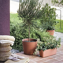 Avis Pot de fleurs - DEROMA - Origin - 22,3 L - Terre cuite