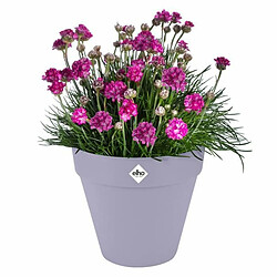 Avis Elho Loft Urban Round - Ø38,8 cm - Couleur unie