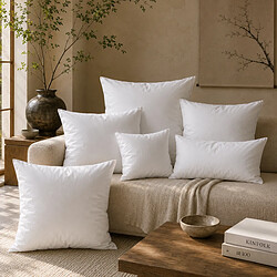 Coussin d'intérieur