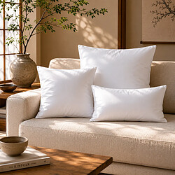 Coussin d'intérieur